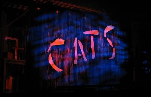Cats - Nöjesteatern, Malmö<br>Dalhalla, Rättvik