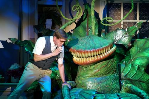 Little shop of horrors - Halmstads Teater<br>Slagthuset, Malmö<br>Lorensbergsteatern, Göteborg