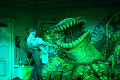 Little shop of horrors - Halmstads Teater<br>Slagthuset, Malmö<br>Lorensbergsteatern, Göteborg